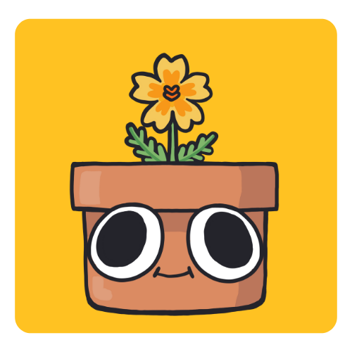 🌼 Tangerine Gem Marigold Grow Kit – Learn How to Grow Bright & Cheerful Blooms Indoors