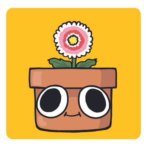 🌸 English Daisy Grow Kit – Learn to Grow Charming Cottage Blooms Indoors