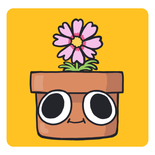 🌸 Cosmos Garden Grow Kit – 🌞 Dazzling Blooms for Pollinators & Joy